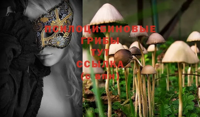 Галлюциногенные грибы MAGIC MUSHROOMS  Сосновка 